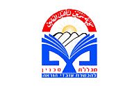 מכללת סכנין